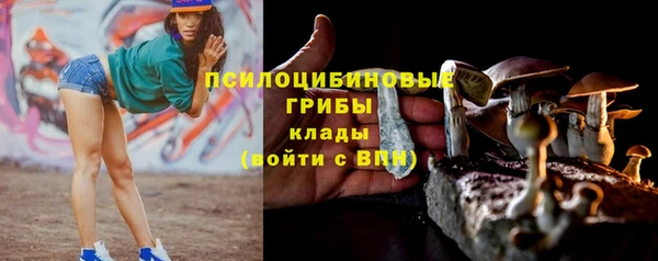 кристаллы Нягань