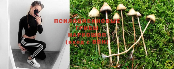 синтетический гашиш Няндома