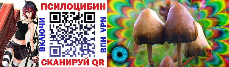 закладка  Санкт-Петербург  Галлюциногенные грибы мухоморы 