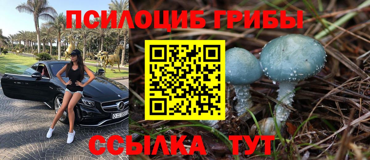 купить наркотики сайты  Санкт-Петербург  Галлюциногенные грибы MAGIC MUSHROOMS 