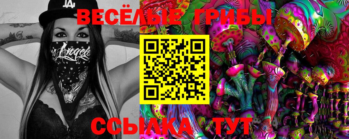 Псилоцибиновые грибы GOLDEN TEACHER Санкт-Петербург