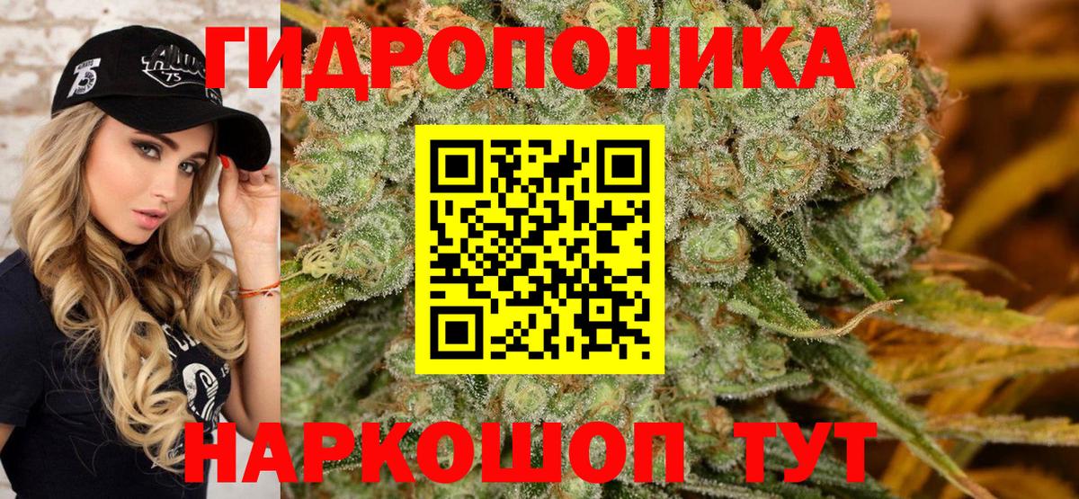 Конопля SATIVA & INDICA Санкт-Петербург